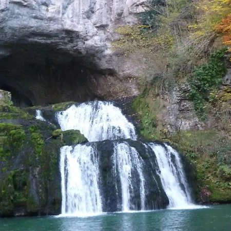 L'aristoloche Salins-les-Bains